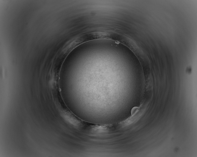 X0000102490140200808081338