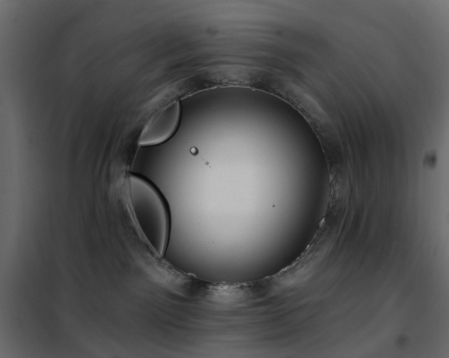 X0000102490141200808081338