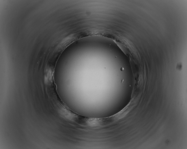 X0000102490142200808081338