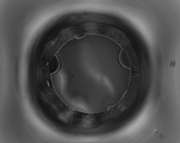 X0000102490143200808081338