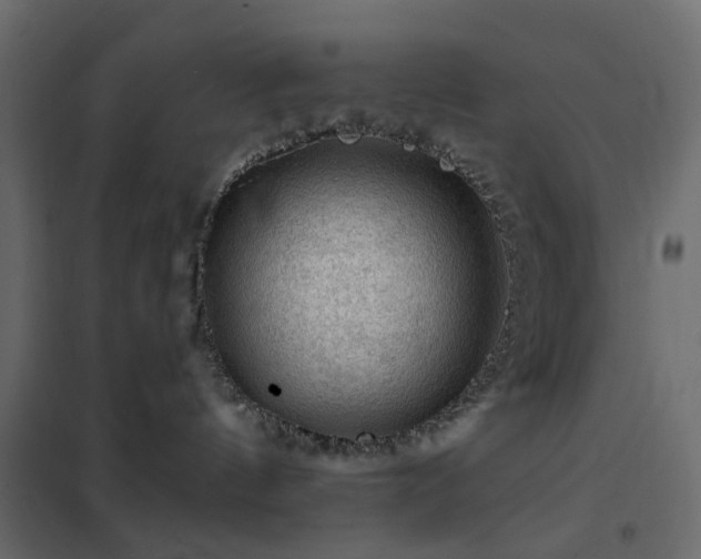 X0000102490144200808081338
