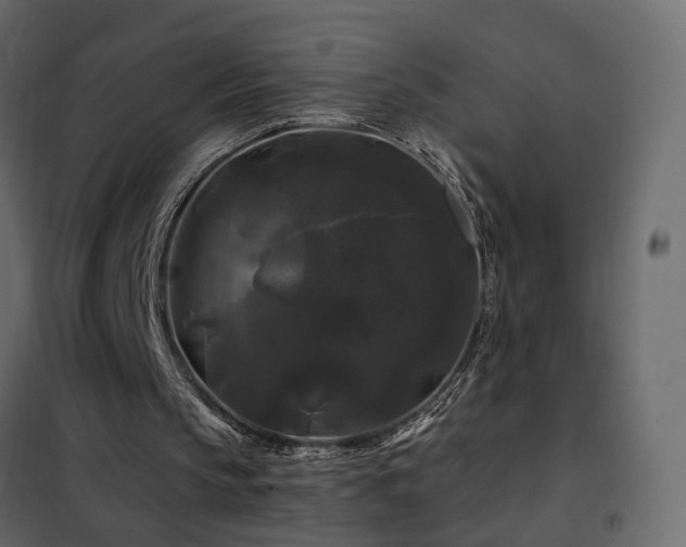 X0000102490145200808081337