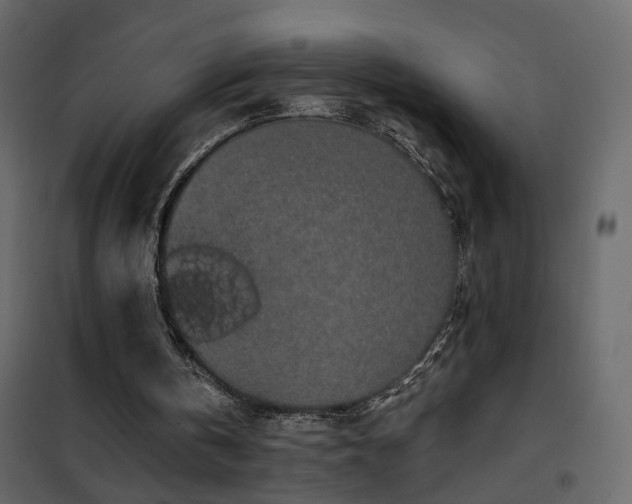 X0000102490146200808081337