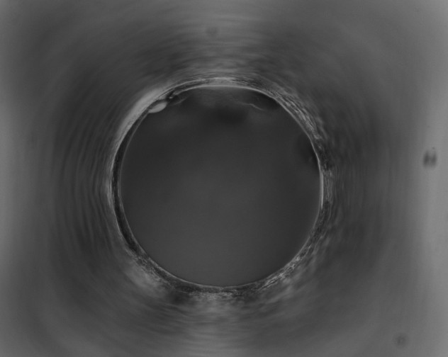 X0000102490147200808081337