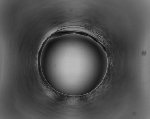X0000102490148200808081337