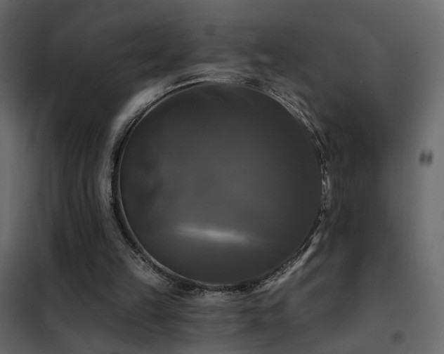 X0000102490149200808081337