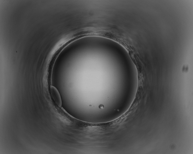 X0000102490150200808081337