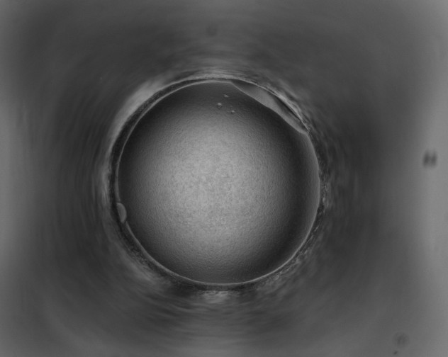 X0000102490152200808081337