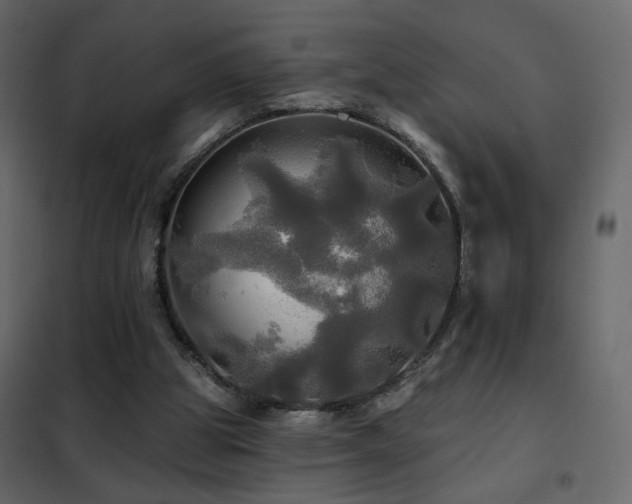 X0000102490153200808081337