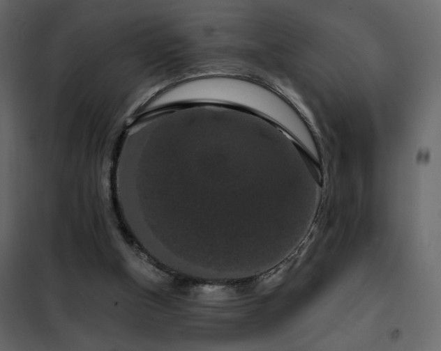 X0000102490154200808081337