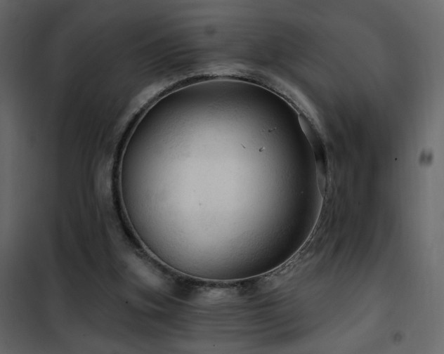 X0000102490155200808081337
