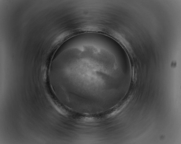 X0000102490157200808081337
