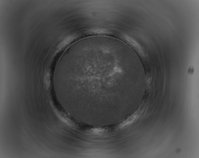 X0000102490158200808081337