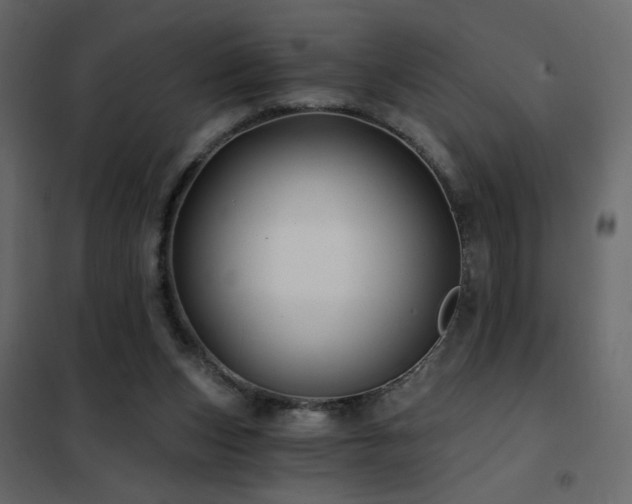 X0000102490159200808081337