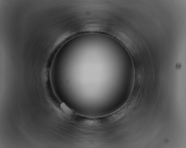 X0000102490160200808081337