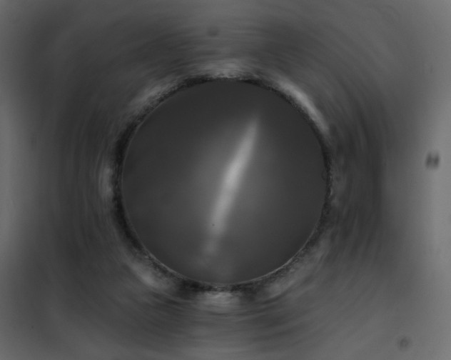 X0000102490161200808081337