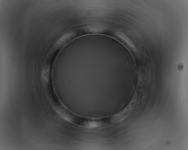 X0000102490163200808081337