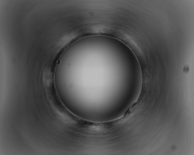 X0000102490164200808081337