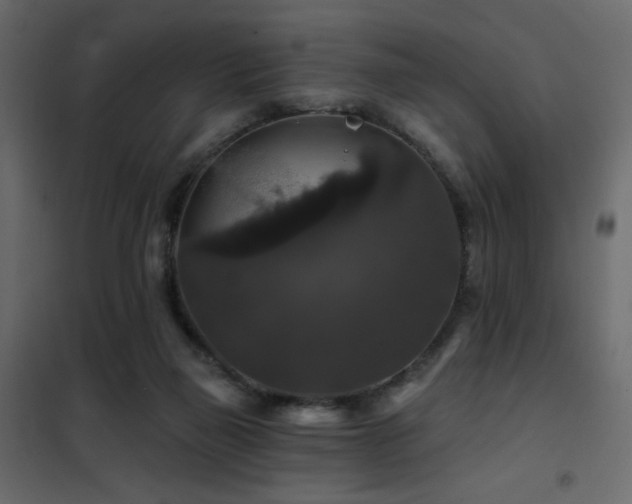 X0000102490165200808081337