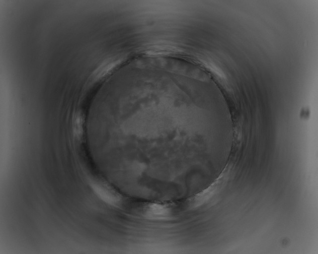 X0000102490166200808081337