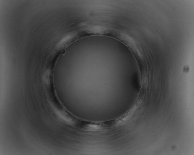 X0000102490167200808081337