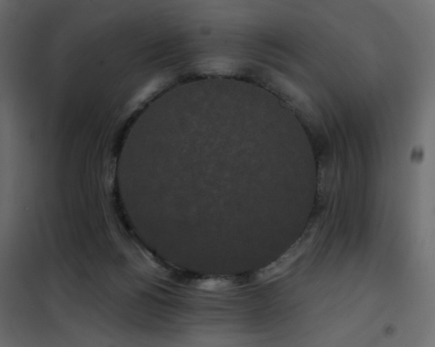 X0000102490168200808081337
