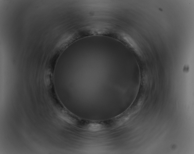 X0000102490169200808081337