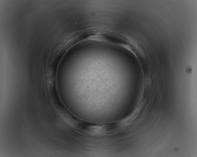 X0000102490170200808081337