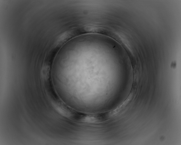 X0000102490171200808081337