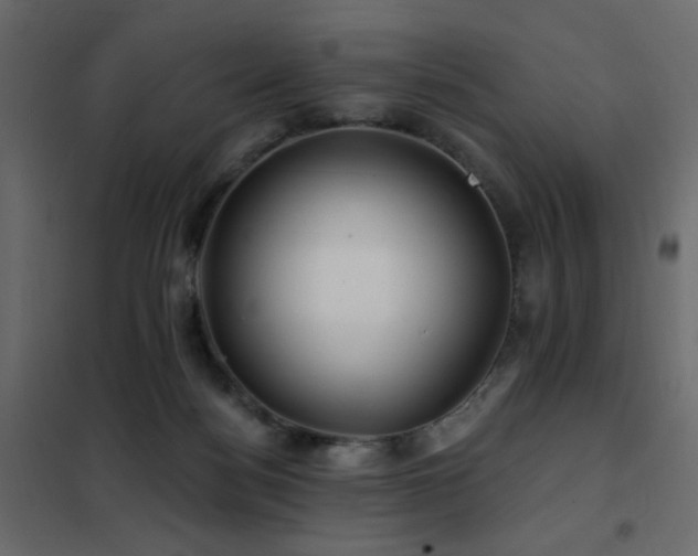 X0000102490172200808081337