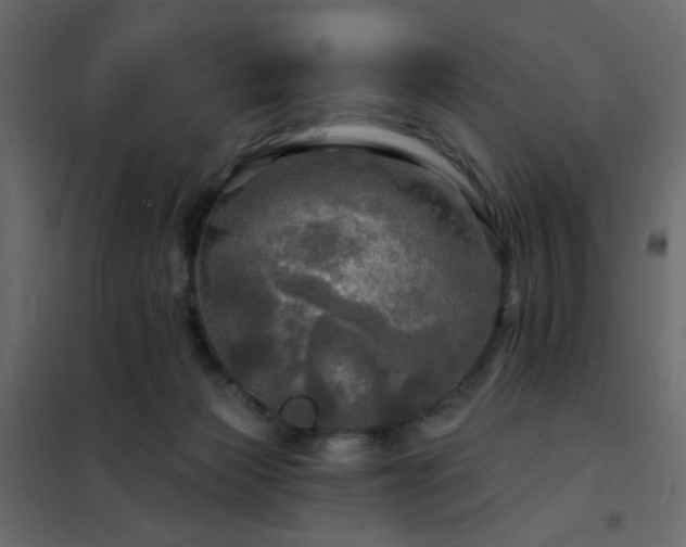 X0000102490173200808081337
