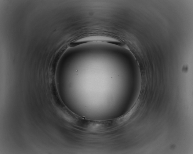 X0000102490174200808081337
