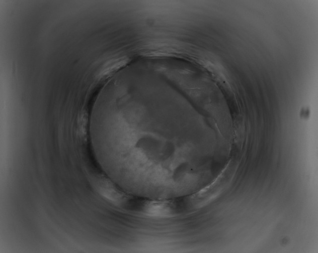 X0000102490175200808081337