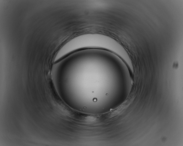 X0000102490176200808081337