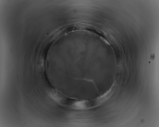 X0000102490178200808081337