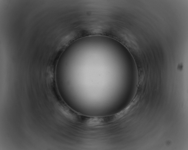 X0000102490179200808081337