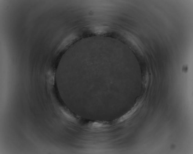 X0000102490180200808081337