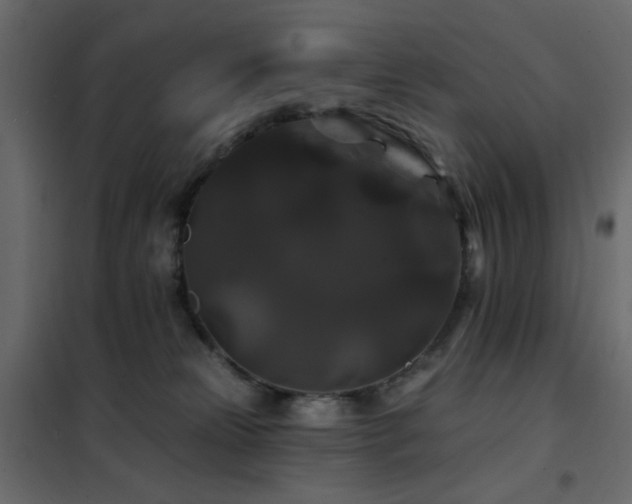 X0000102490181200808081337