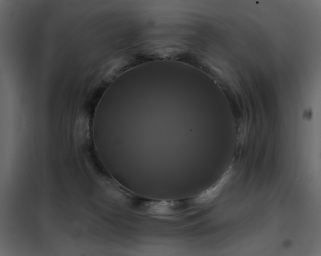 X0000102490182200808081337