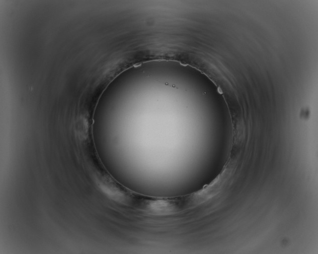 X0000102490183200808081337