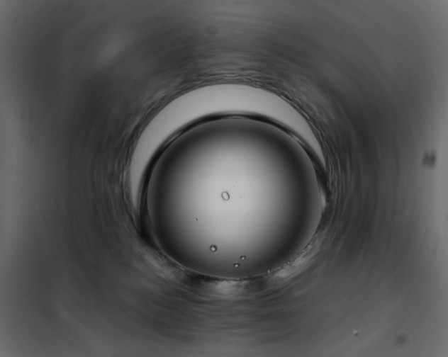 X0000102490184200808081337