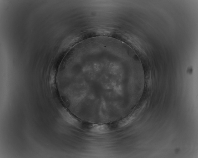 X0000102490185200808081337