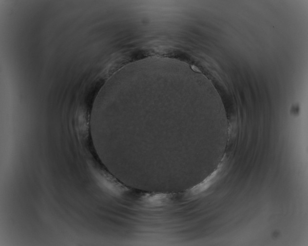 X0000102490186200808081337