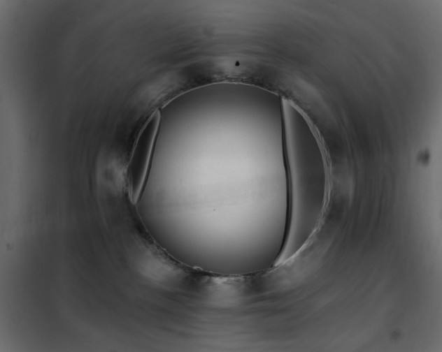 X0000102490188200808081337