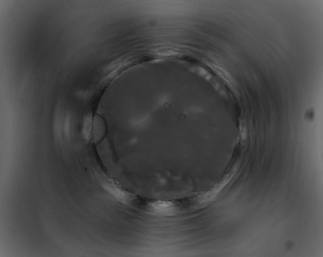 X0000102490189200808081337