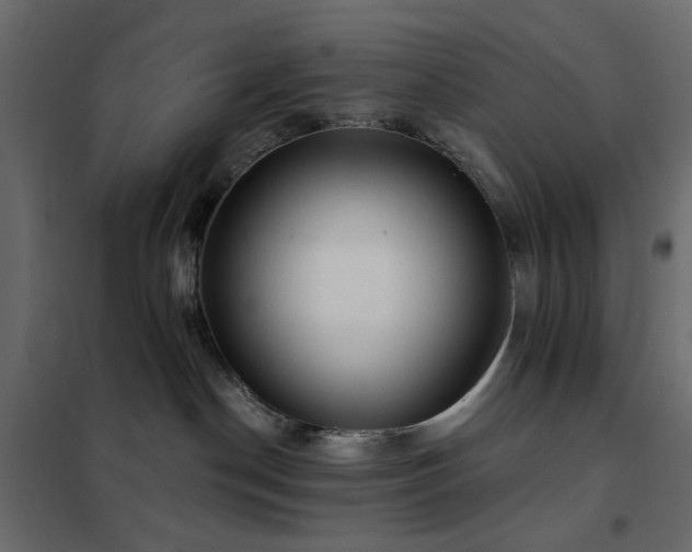 X0000102490190200808081338