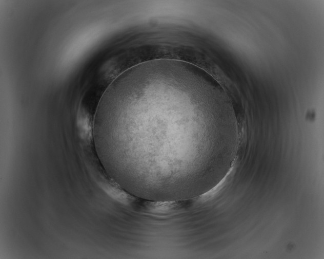 X0000102490191200808081338