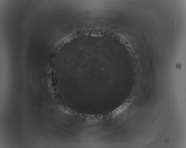 X0000102490192200808081338