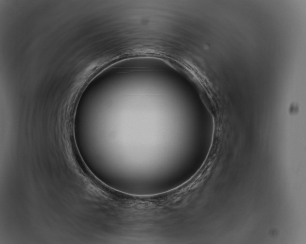 X0000102490193200808081337