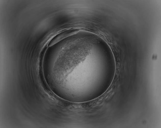 X0000102490194200808081337